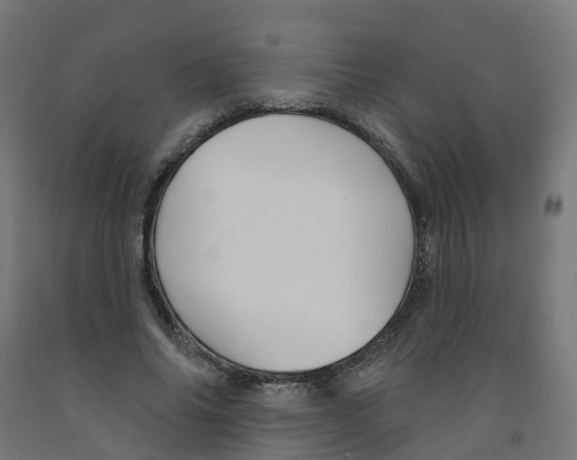 X0000091890686200710031803