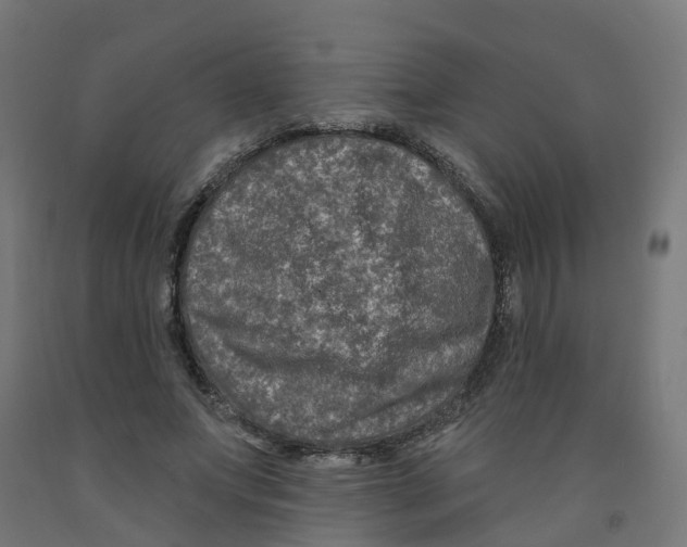 X0000091890687200710031803