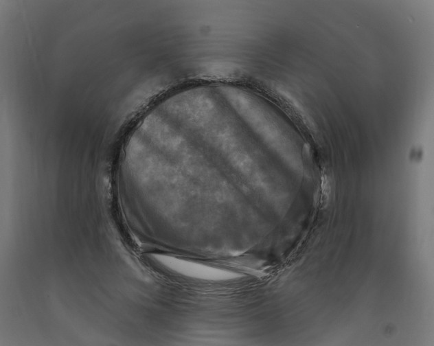 X0000091890688200710031803