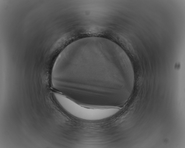 X0000091890689200710031803