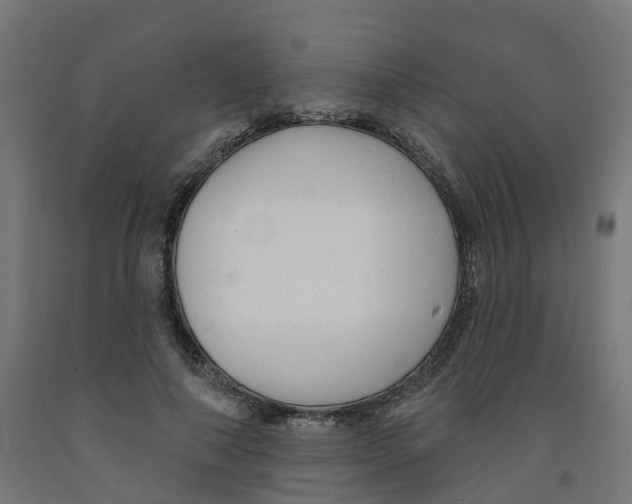 X0000091890690200710031803