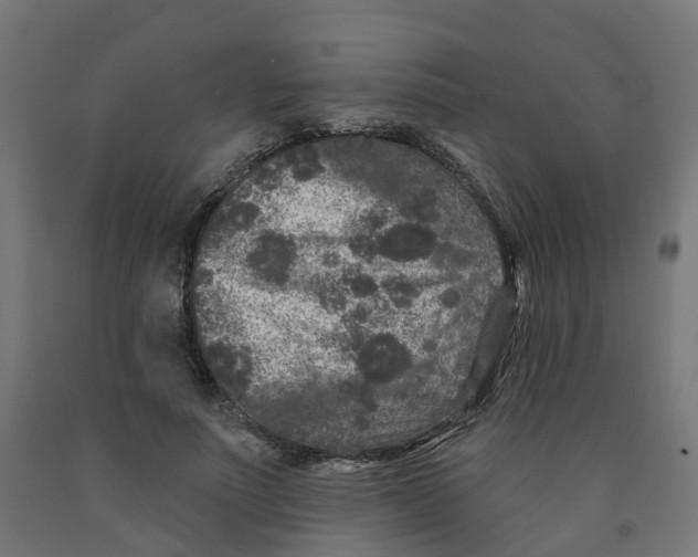 X0000091890691200710031803