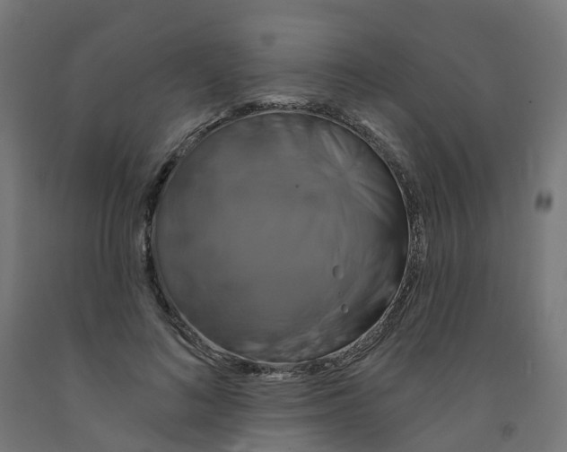 X0000091890692200710031803