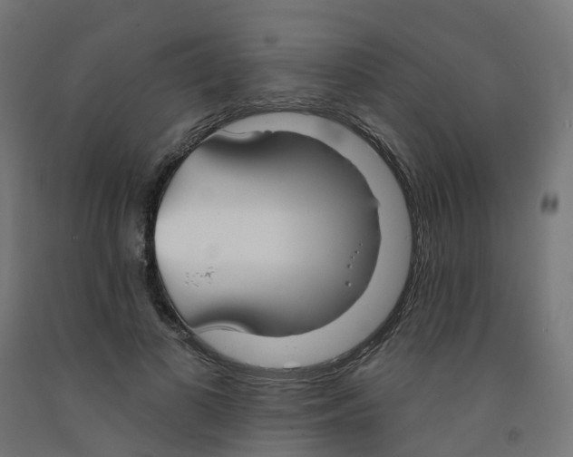 X0000091890693200710031803