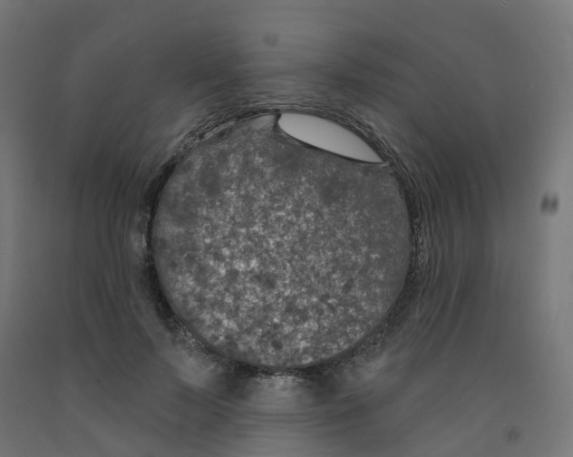 X0000091890695200710031803