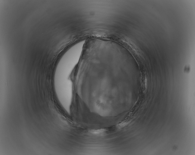 X0000091890696200710031803