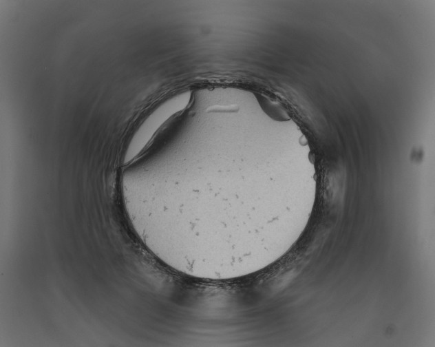 X0000091890697200710031803