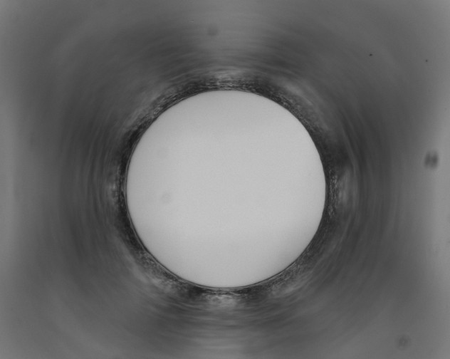X0000091890698200710031803