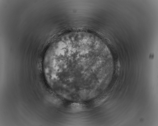 X0000091890699200710031803