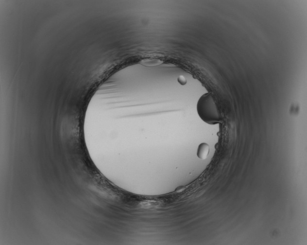 X0000091890700200710031803