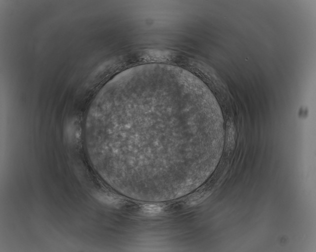 X0000091890701200710031803