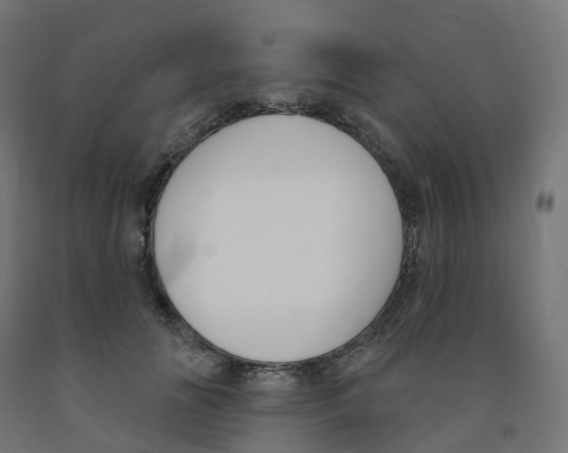 X0000091890702200710031803