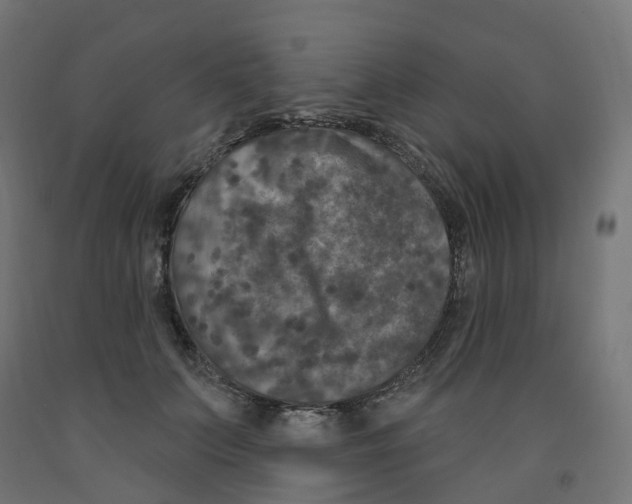 X0000091890703200710031803