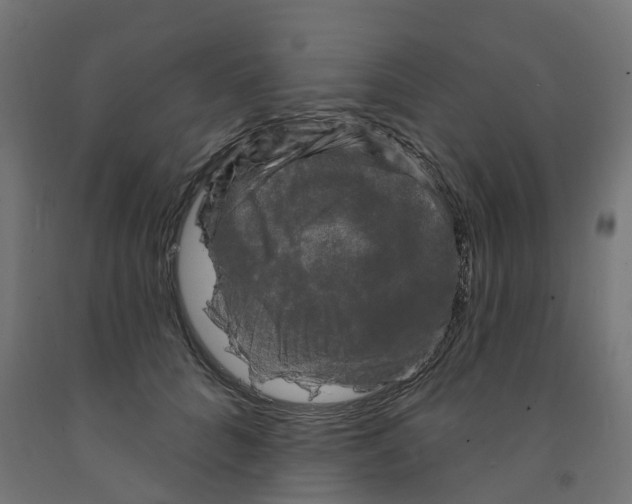 X0000091890704200710031803