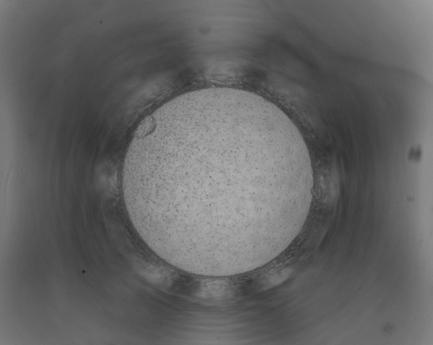 X0000091890705200710031803