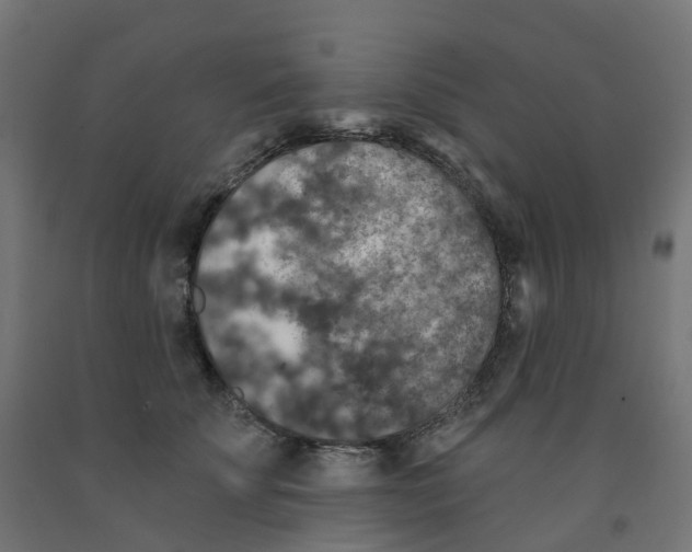 X0000091890707200710031802
