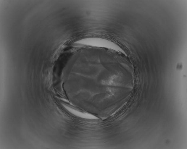 X0000091890708200710031802