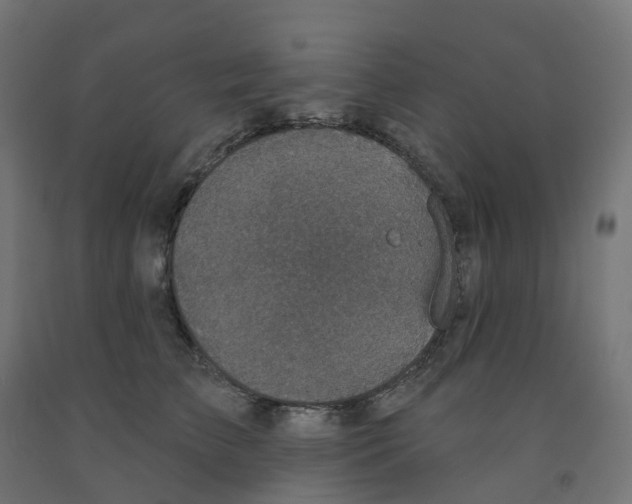 X0000091890709200710031802