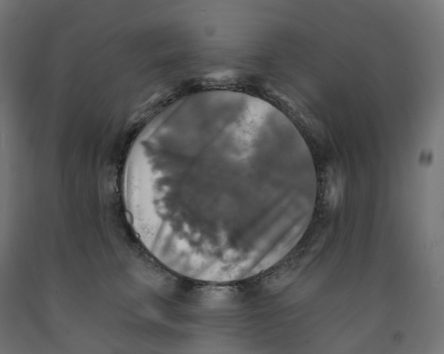 X0000091890711200710031802