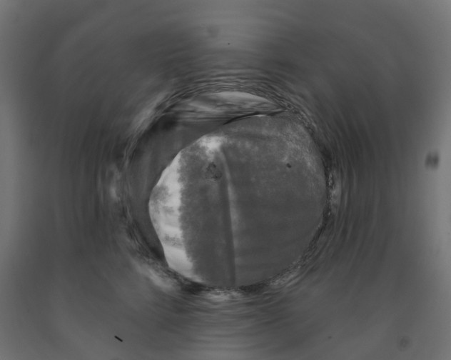 X0000091890712200710031802