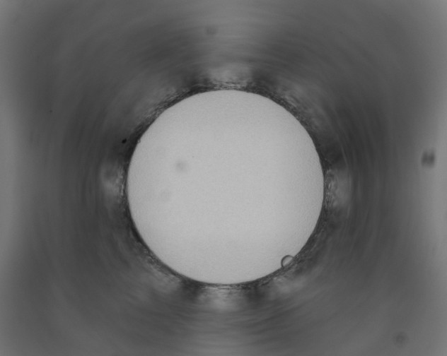 X0000091890713200710031802