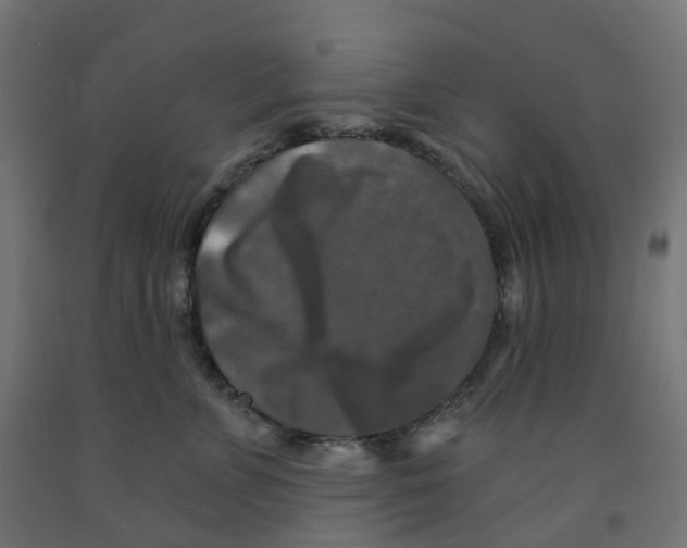X0000091890715200710031802