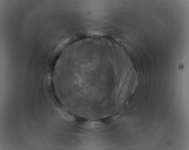 X0000091890716200710031802