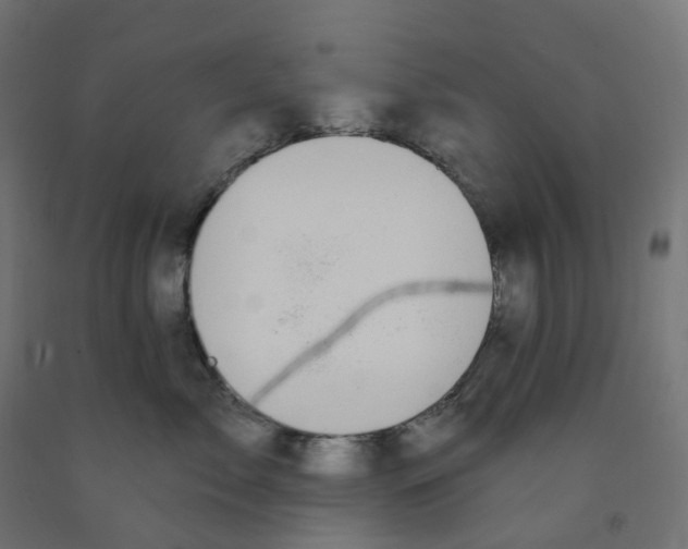 X0000091890717200710031802