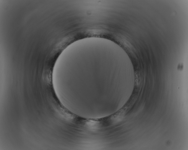 X0000091890718200710031802
