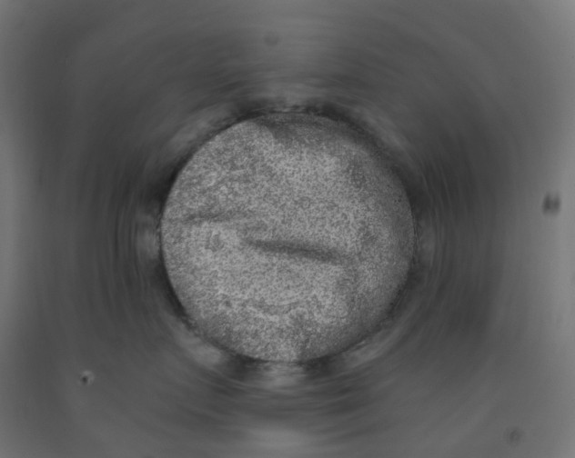 X0000091890719200710031802