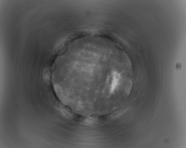 X0000091890720200710031802