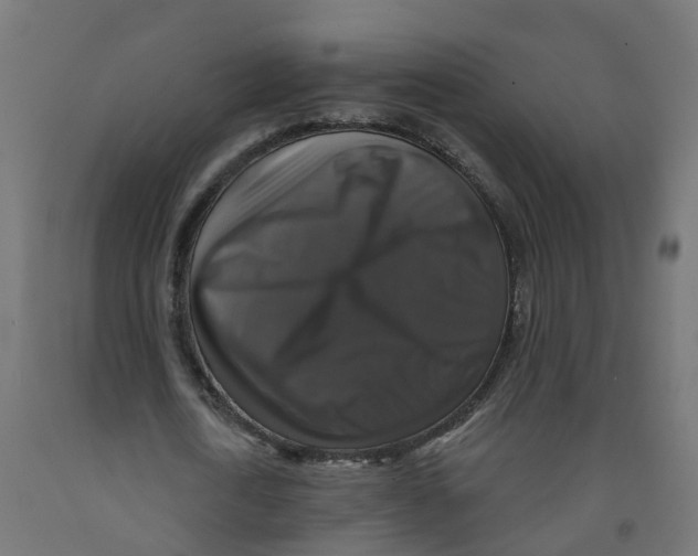 X0000091890722200710031802