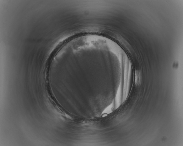 X0000091890723200710031802