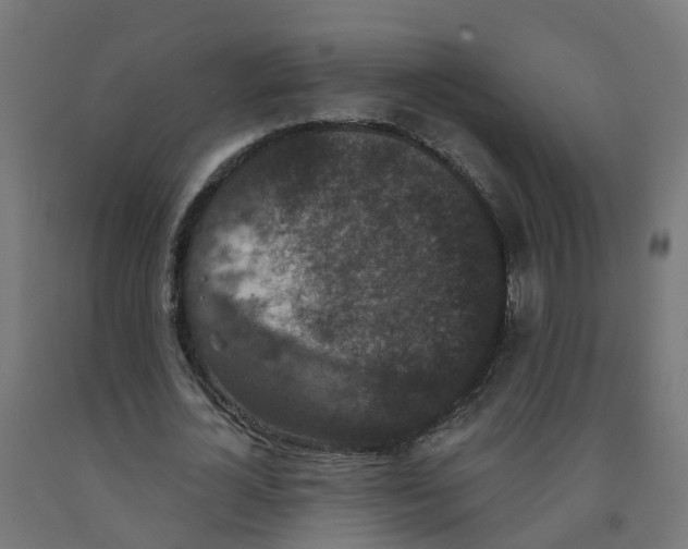 X0000091890724200710031802