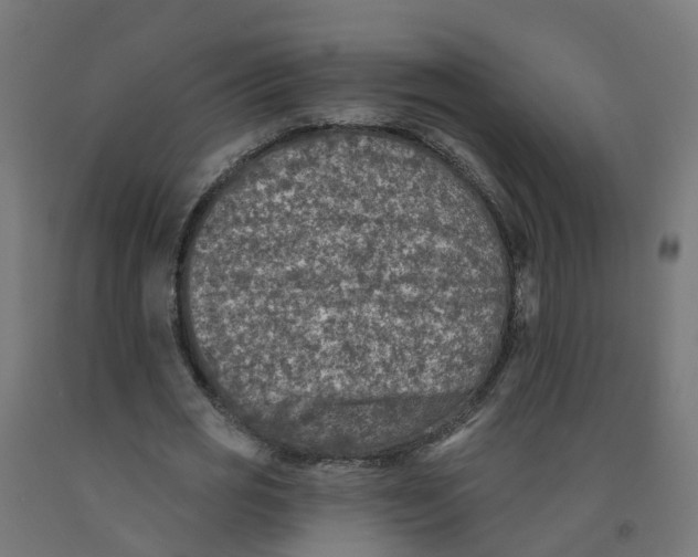 X0000091890725200710031802