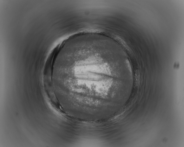 X0000091890726200710031802