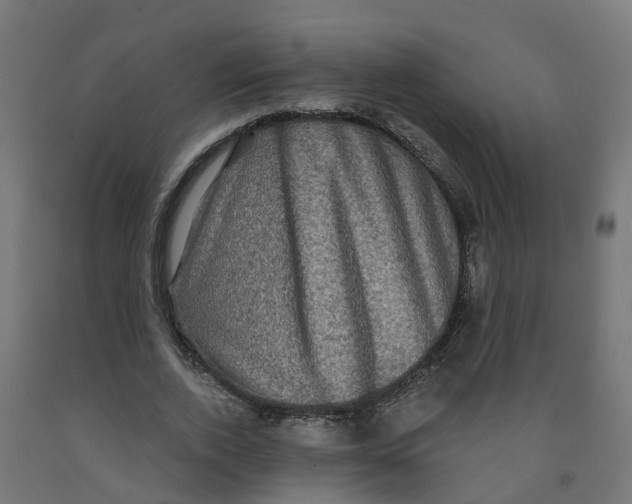 X0000091890728200710031802