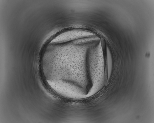 X0000091890730200710031802