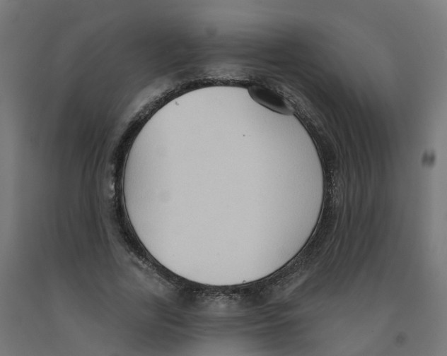 X0000091890731200710031802