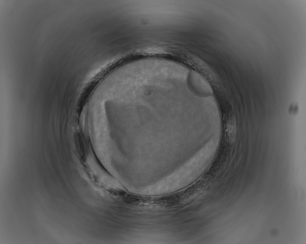 X0000091890732200710031802