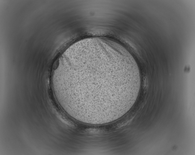 X0000091890733200710031802