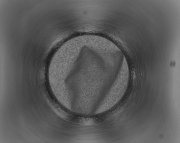 X0000091890735200710031802