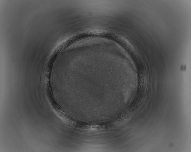 X0000091890736200710031802