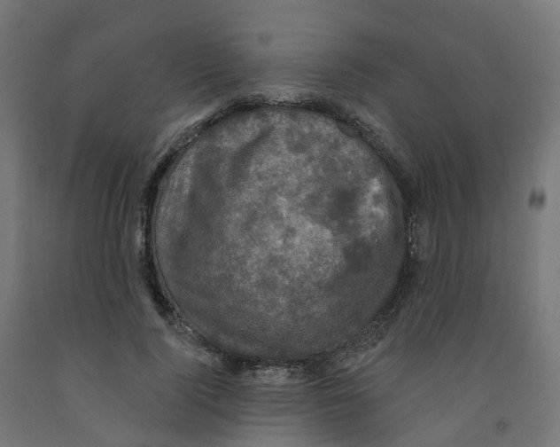 X0000091890740200710031802