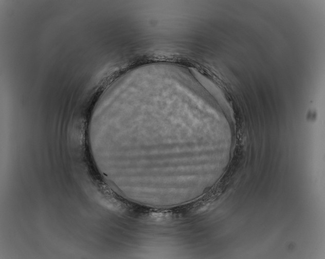 X0000091890744200710031802
