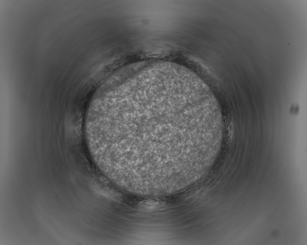 X0000091890745200710031802