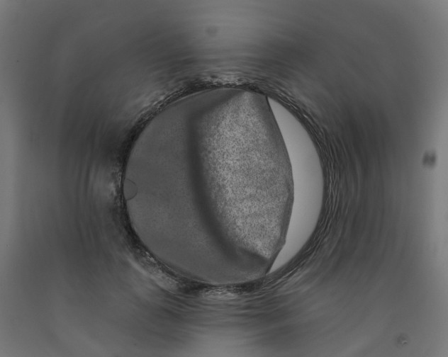 X0000091890747200710031802
