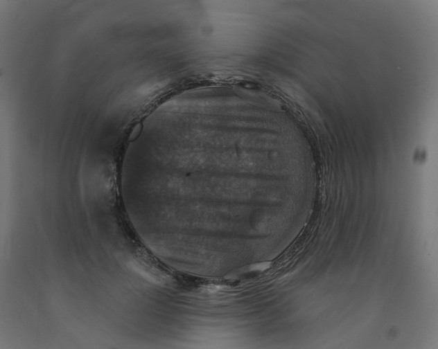 X0000091890748200710031802