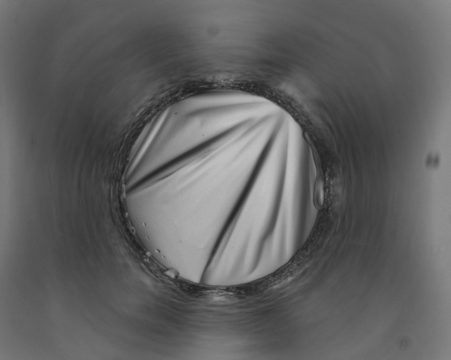 X0000091890750200710031802