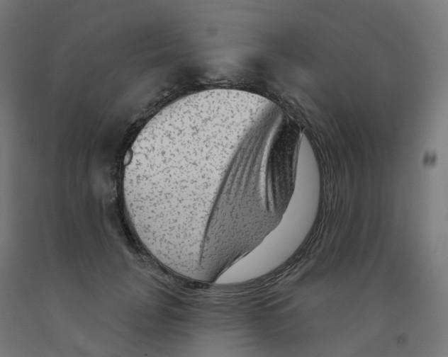 X0000091890751200710031802